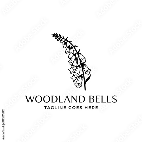 Detailed botanical illustration of bell-shaped flowers for nature-themed branding.