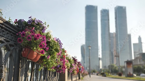 Colorful petunia flowers decorating a city bridge railing with Moscow skyscrapers