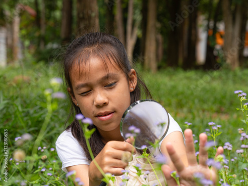 Curious Asian girl using magnifying glass to inspect small wild flowers in grass field