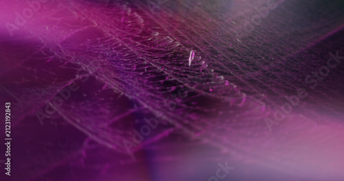 Blur optical gleam. Abstract purple flare. Vibrant neon blue red color lens shiny on glisten flash radiant film rainbow light art luminous background.