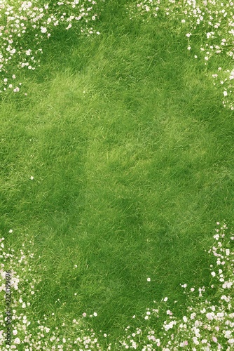 grass background, generation AI 