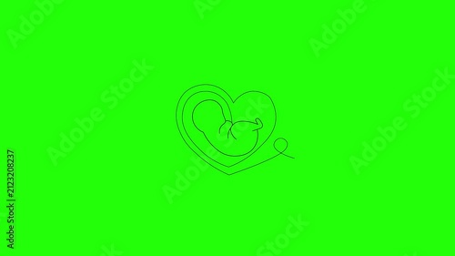 Outline animation of a baby in the womb, umbilical cord, and fetus. Alpha video transition. Motion graphics. Isolated illustration.