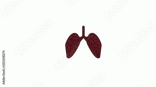Appearance of a lung symbol. Animation of a human lung icon. Lung icon with a repeating graphic motion.