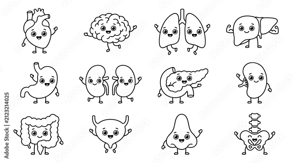 Fototapeta premium Set of human organ characters with cute faces, outline style, anatomy illustration for medical education, healthcare biology symbols, flat line