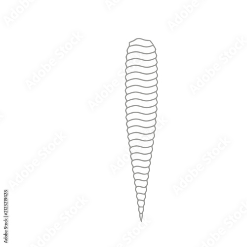 Abstract Spiral Shape