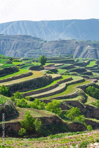 Fotografie rice terraces in china