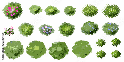 Fotografía top down view of various bushes watercolor style top down landscape plants green