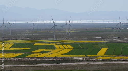 Harmony of Nature and Energy: Wind Turbines Over Golden Rapeseed Fields