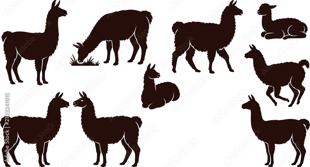 Naklejka premium Llama and Alpaca Silhouette Vector Set Featuring South American Animals in Standing Grazing Walking and Lying Poses for Farm Graphic Designs
