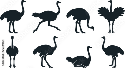 Obraz na plátně Ostrich Bird Silhouette Vector Icon Set Featuring Various Wildlife Poses Includi