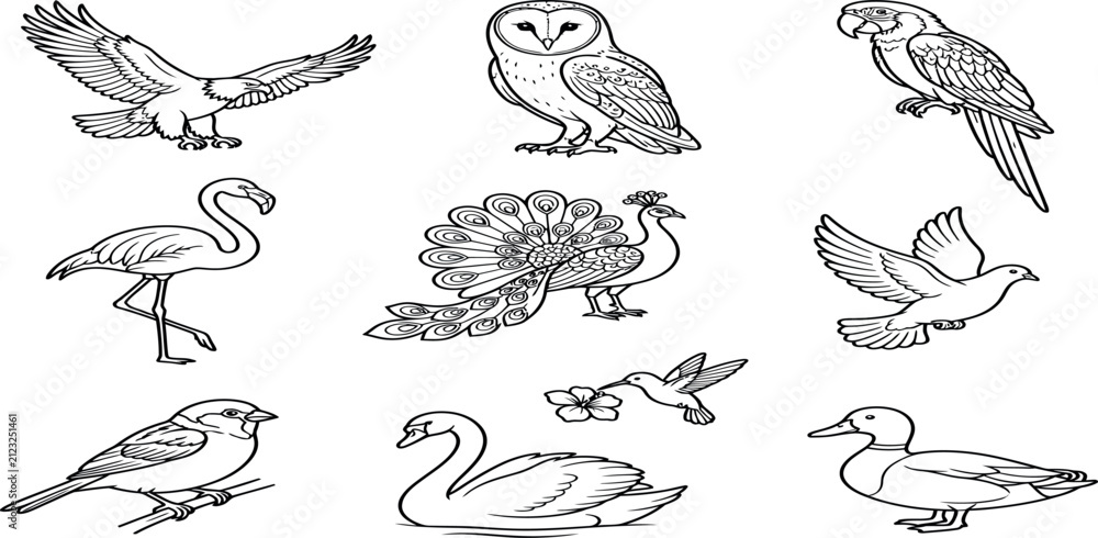 Obraz premium Set of various hand drawn bird species outlines for coloring