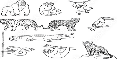 Canvas Print Jungle and wild animal species sketches in line art style