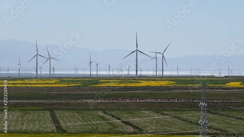 Harmony of Nature and Energy: Wind Turbines Over Golden Rapeseed Fields