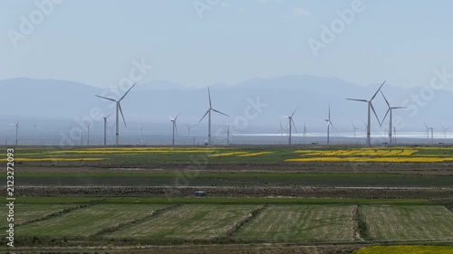 Harmony of Nature and Energy: Wind Turbines Over Golden Rapeseed Fields