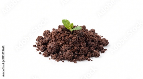 45 degree view of chocolate edible soil dessert with mint sprout isolated on pure white background.