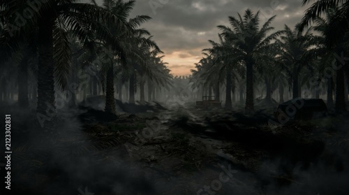 A Quiet Tropical Night Among the Palms