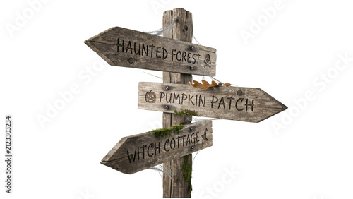 Wooden halloween signpost with directional arrows isolated on transparent background