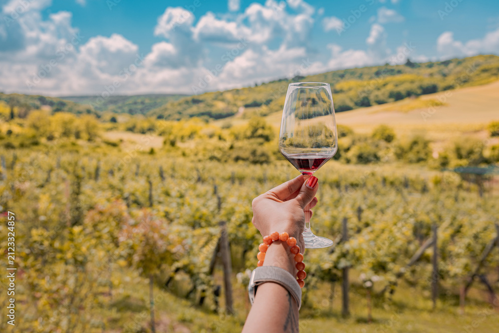 Obraz premium Hand holding a red wine glass against a sunlit vineyard landscape. Tasting tourism concept.