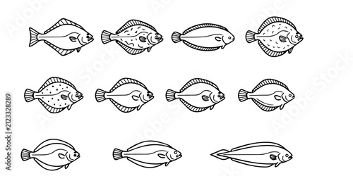 A collection of hand drawn sketch illustrations of various flatfish species arranged in a simple grid pattern