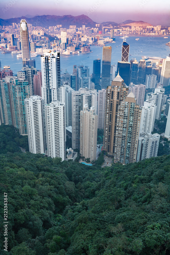 Obraz premium An aerial view of Hong Kong's skyline, showcasing its dense urban development juxtaposed with lush green forests, highlighting the city's unique blend of nature and modern architecture.