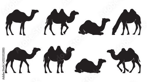 фотографія Set of black silhouettes of camels in various poses isolated on white background