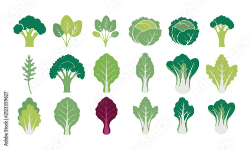 Fresh Vegetable And Leafy Greens Collection.