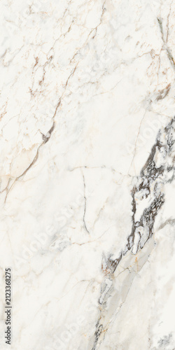 Luxury white marble surface with bold grey and golden veins luxurious interior