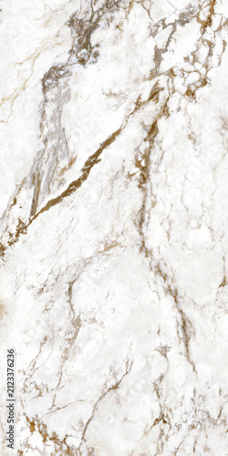 Fotografie Elegant white marble texture background with brown veins background polished int