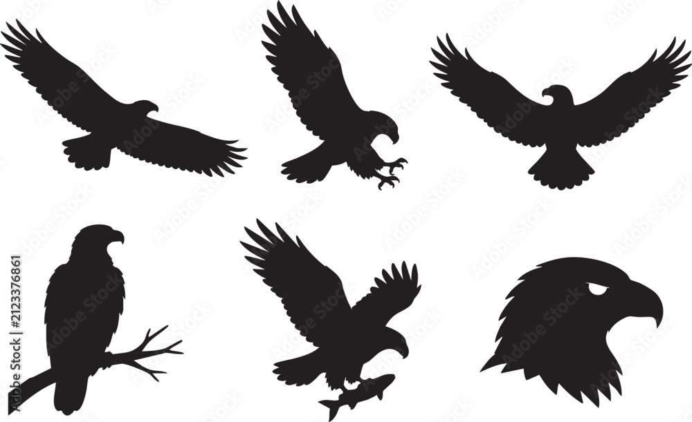 Fototapeta premium Eagle Silhouette Collection Black Vector Set with Flying Hunting Perched and Eagle Head Icons Isolated on White Background