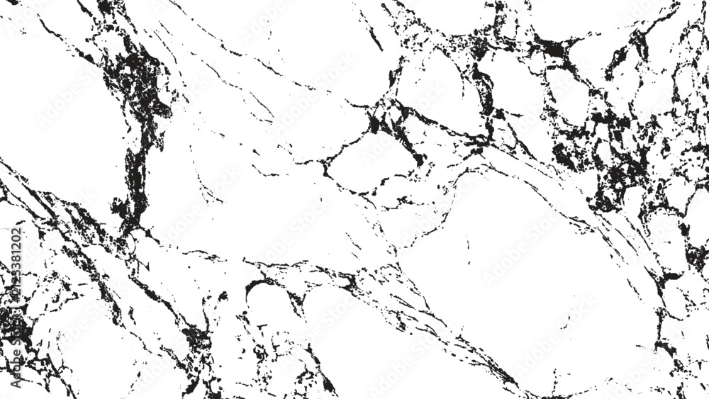 Obraz premium Abstract black and white marble texture background with high contrast cracked veins for modern luxury design surface