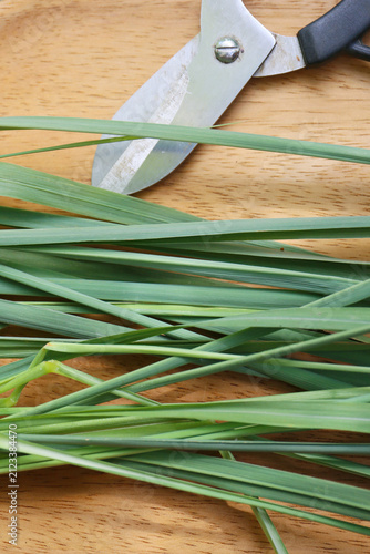 harvesting of fresh lemongrass leaves. Cymbopogon citratus