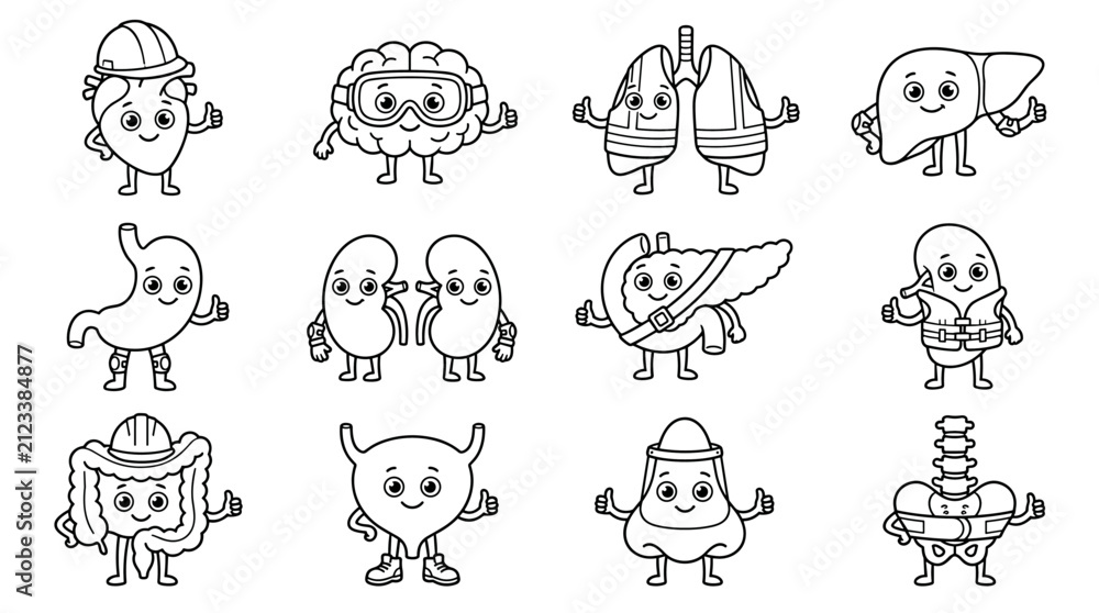 Obraz premium Set of human organ characters with cute faces, medical education, biological science, health awareness, anatomy study, outline style elements