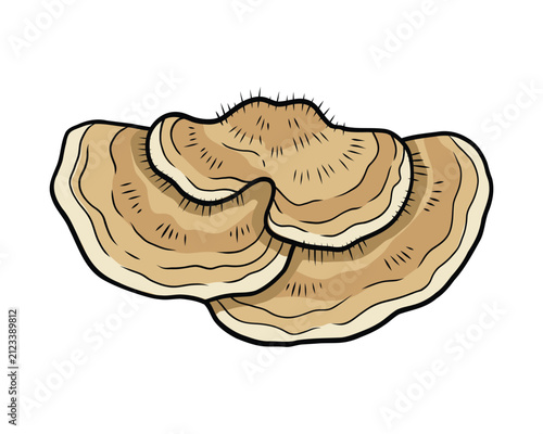 Картината върху платно Brown bracket fungus illustration with layered organic texture on white backgrou
