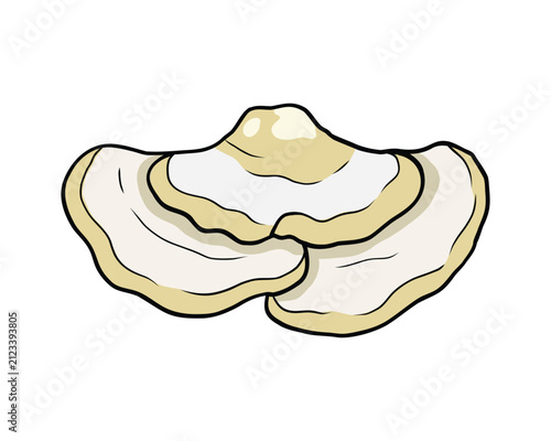 Bild auf Leinwand Pale mushroom illustration, layered shelf fungus bracket for forest ecology
