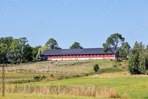 Stable on a green hillside with grazing horses