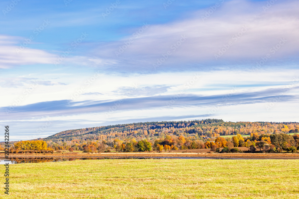 Obraz premium Serene autumn landscape featuring a grassy field by a lake and autumn colours at the forest