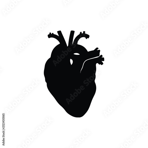 Canvas Print Human heart and arterial, ventricle vain position