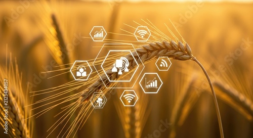Smart Farming Technology Enhancing Wheat Field Productivity with Digital Innovations.