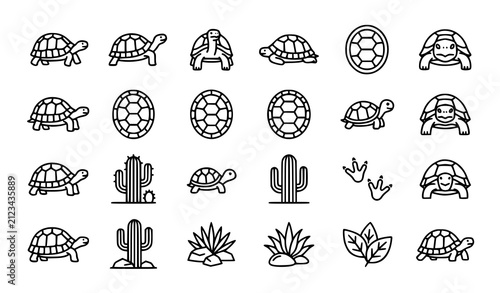 Hand drawn collection of turtles and tortoises with shells, cacti, leaves, paw prints and nature elements