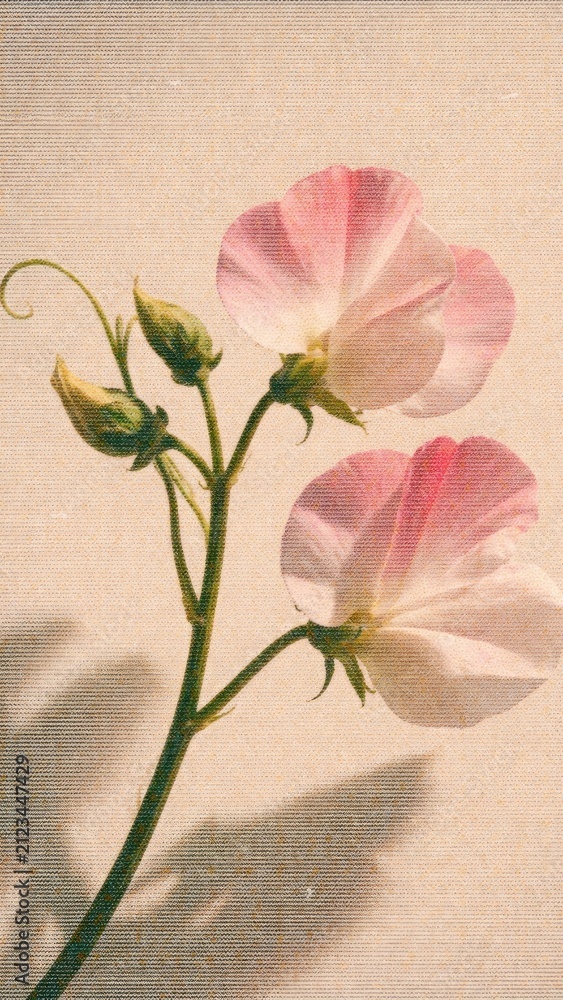 Obraz premium Delicate floral mobile wallpaper