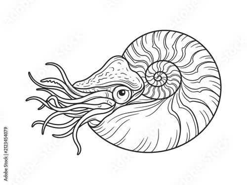 Marine mollusk nautilus sea creature with tentacles detailed illustration