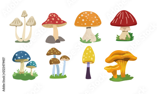Cartoon mushrooms set. Forest fungi plants. Fall season food  fungus  natural decorations. Boletus  fly agaric  morels  chanterelles in childish style. Isolated flat graphic vector illustrations