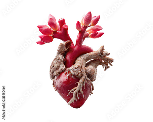 Symbolic Heart Sculpture: A striking artistic representation of a human heart, intricately crafted with organic textures and vibrant red hues, symbolizing love, life, and passion.