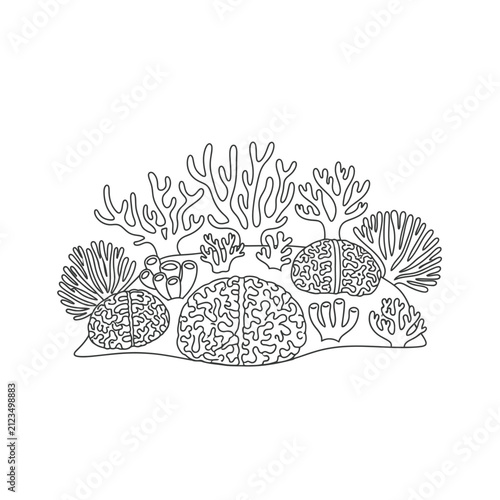 Brain Coral and Sea Fan Illustrations Underwater Scene