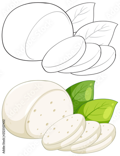 Fresh Mozzarella Cheese Ball and Slices with Green Basil Leaves Vector