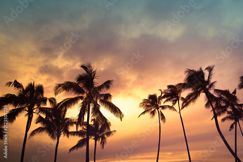 Palm Trees Against Colorful Sunset Sky Tropical Vacation Scene	