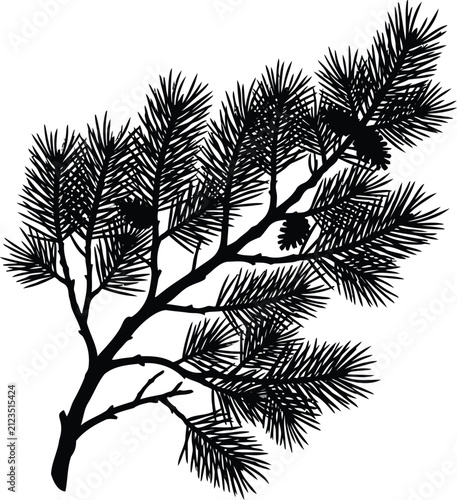 Black and white silhouette of a pine tree branch with needle clusters and pinecones pine branch pine needles