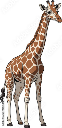 Photography Tall giraffe vector illustration, detailed wild animal graphic for safari and na