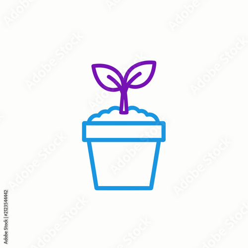 Young Plant Sprout in Blue Pot with Purple Leaves