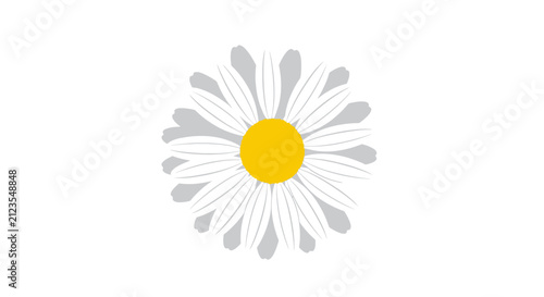 Simple Daisy Flower Illustration.